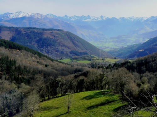 The green side of Spain: verdant valleys in Asturias, and in the background the snow-covered Picos de Europa